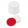 BOUCHON A VIS DN15 + JOINT SILICONE /PTFE PACK 1000